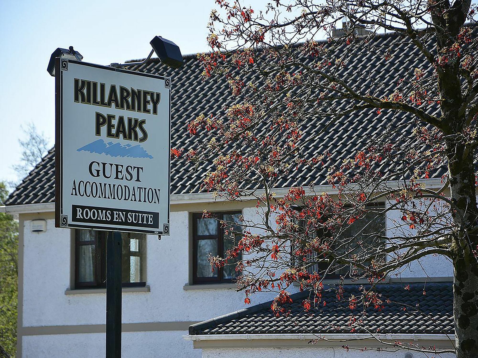 Killarney Peaks Guesthouse Esterno foto